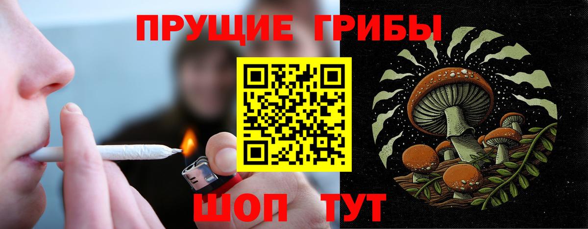 Тында  Псилоцибиновые грибы MAGIC MUSHROOMS  Вход с VPN 